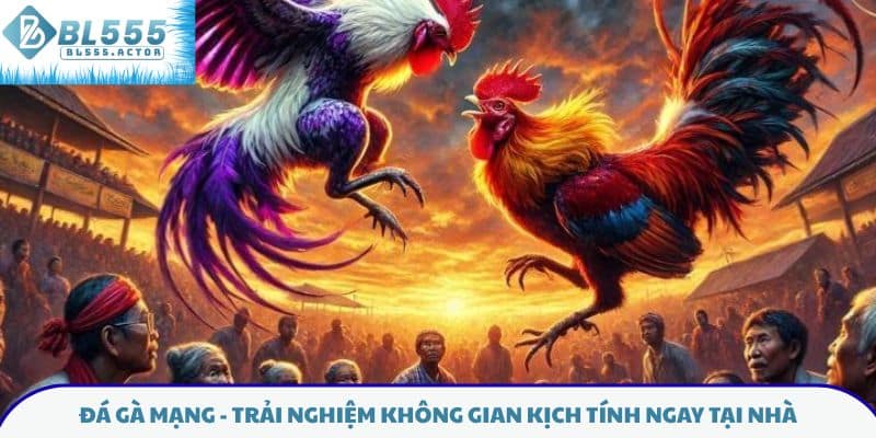 Đá gà mạng - Trải nghiệm không gian kịch tính ngay tại nhà