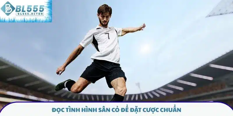 Đọc tình hình sân cỏ để đặt cược chuẩn