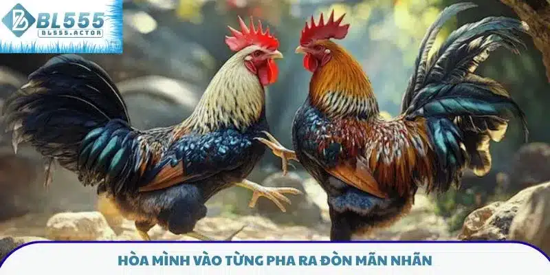 Hòa mình vào từng pha ra đòn mãn nhãn