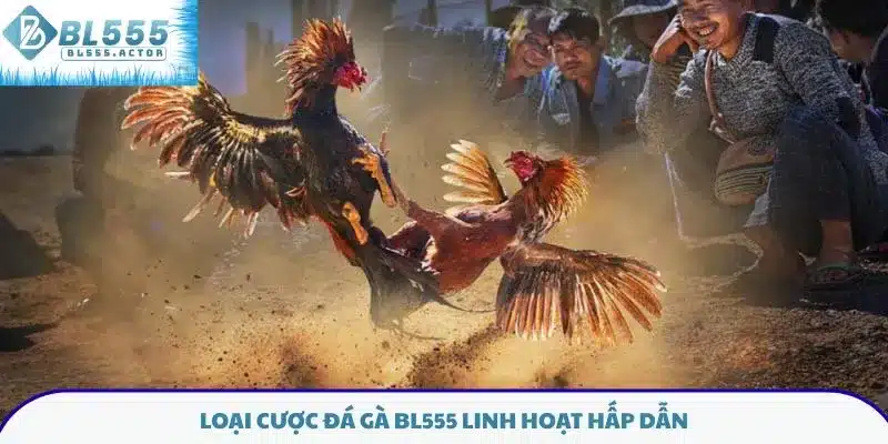 Loại hình đá gà BL555 đa dạng kịch tính